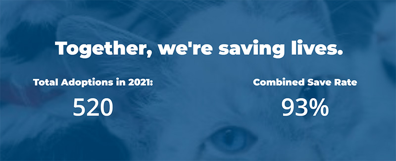 Cat picture with blue overlay and text "Together, we're saving lives" from Willamette Humane Society