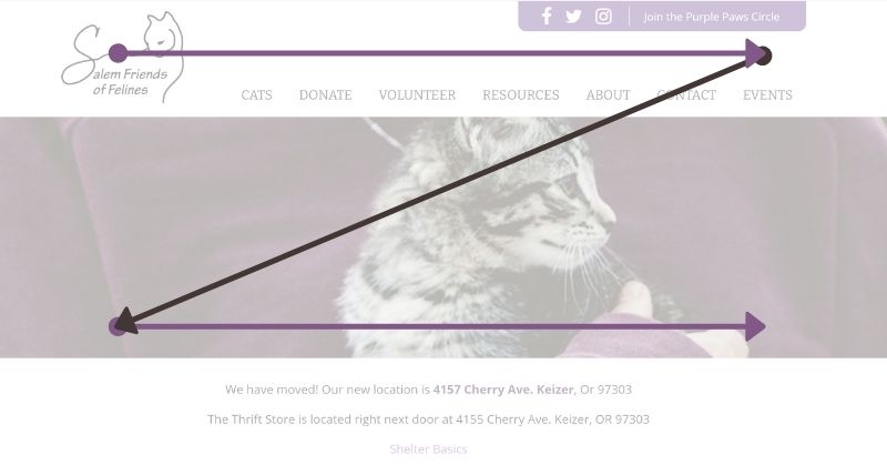 Z pattern on top of Salem Friends of Felines website