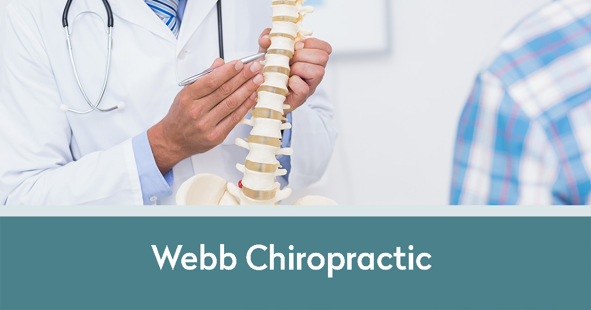 Webb Chiropractic | Doctor pointing to specific spots on spine while talking with patient