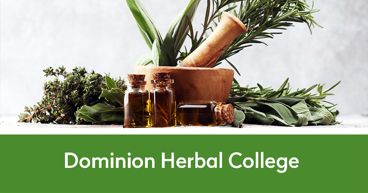 Dominion Herbal College | Herbs, mortar and pestle, and vials of remedies