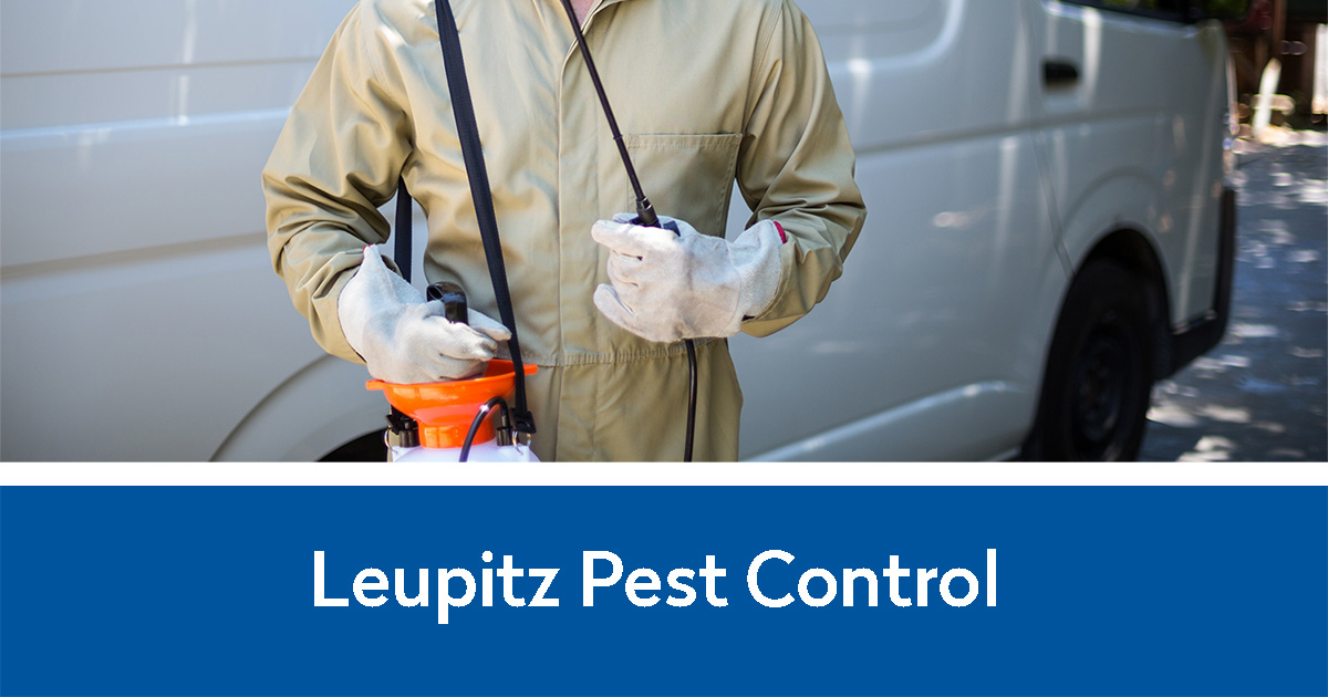 Leupitz Pest Control | Guy with bug spraying gear