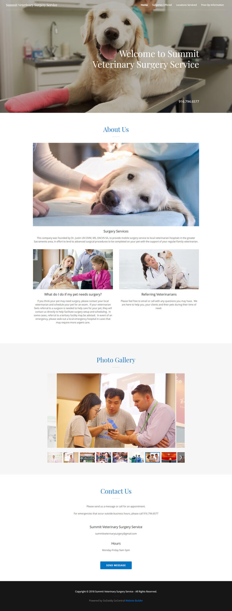Summit Veterinary Surgery Service home page before redesign