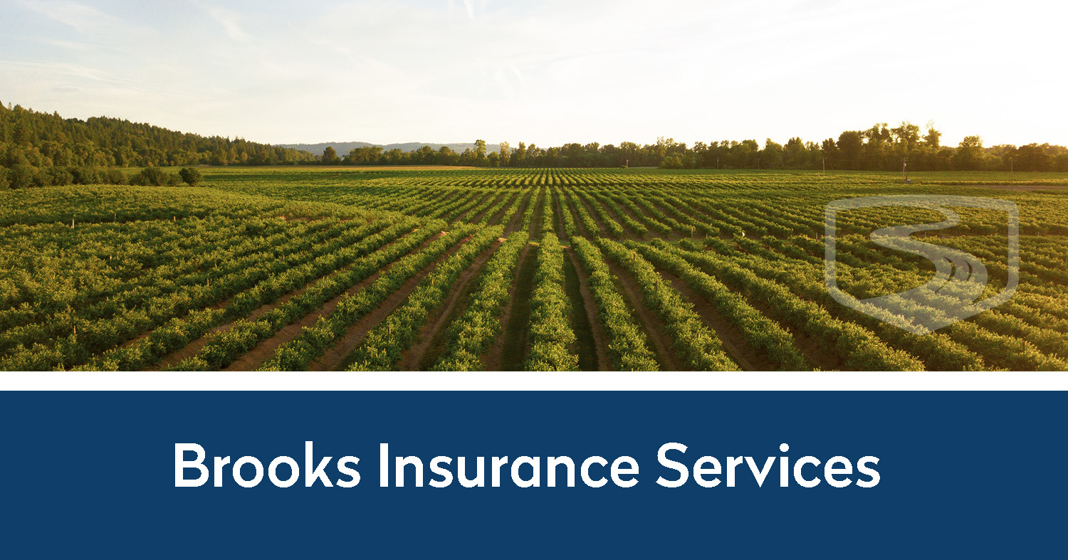 Brooks Insurance Services